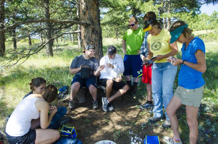 The bumblebee research team looks at collected specimen. (Photo by Patrick Campbell/CU Boulder)