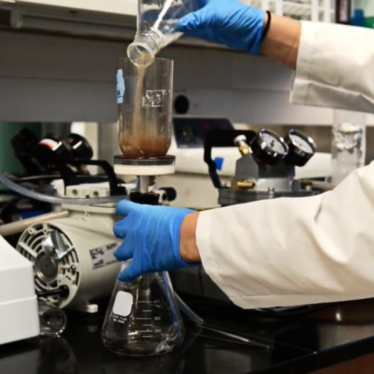 Researcher pours a liquid solution into a beaker