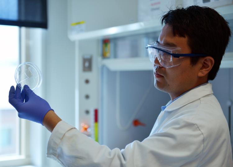 Scientist holding petri dish