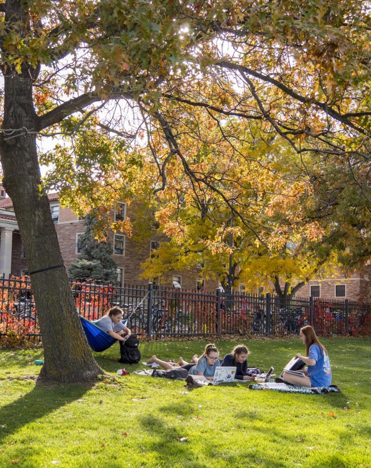 Students hang out at Norlin Quad
