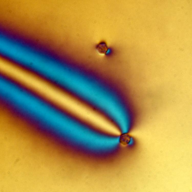 Microscopic view of light bending around a big atom