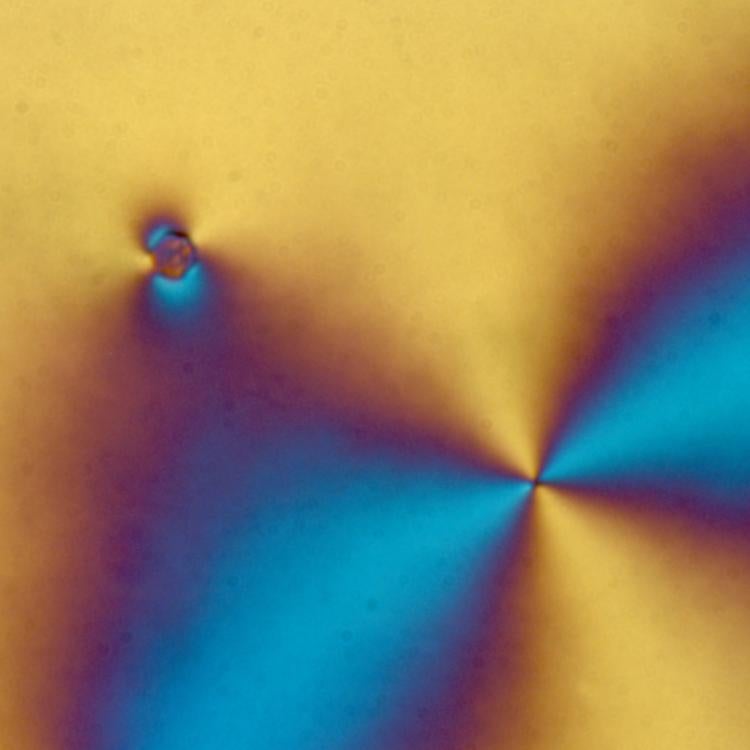 Microscopic view of light bending around a big atom