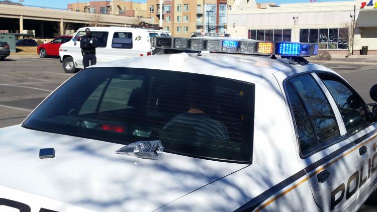 Police officer stands next to white van