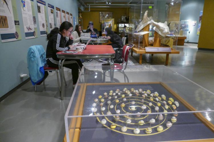 students studying in the BioLounge