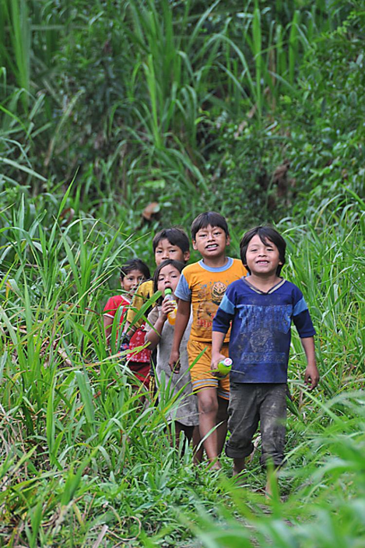 Five children on a trail running through a forest