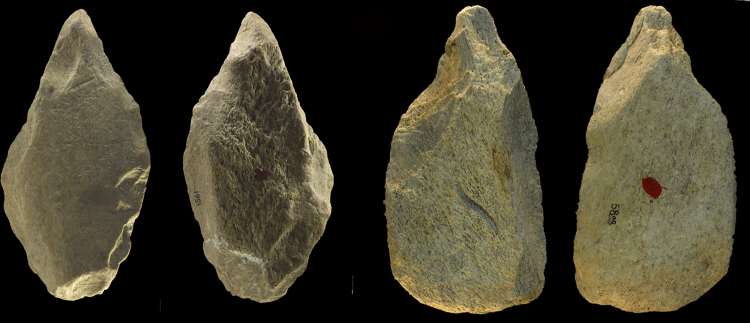 Two pointed bone tools seen from both sides