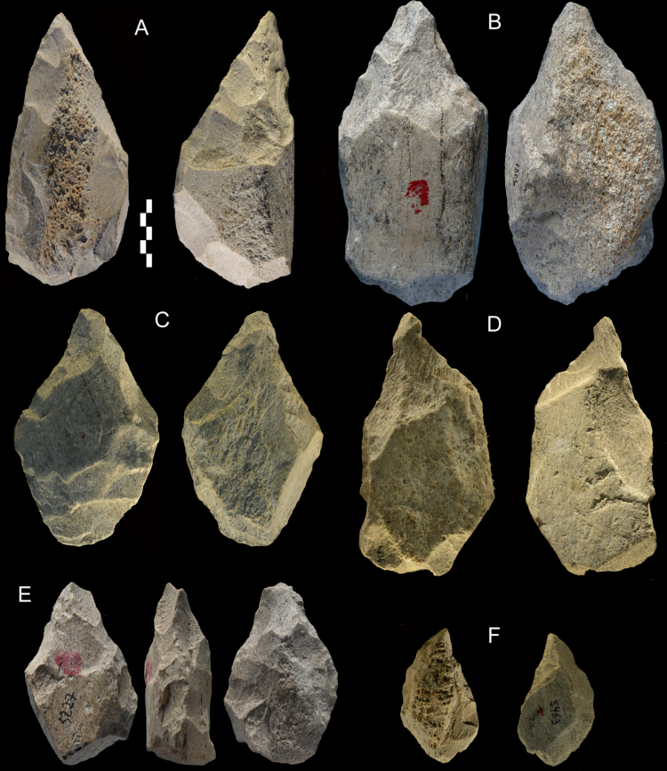 Collection of pointed bone tools excavated from Castel di Guido