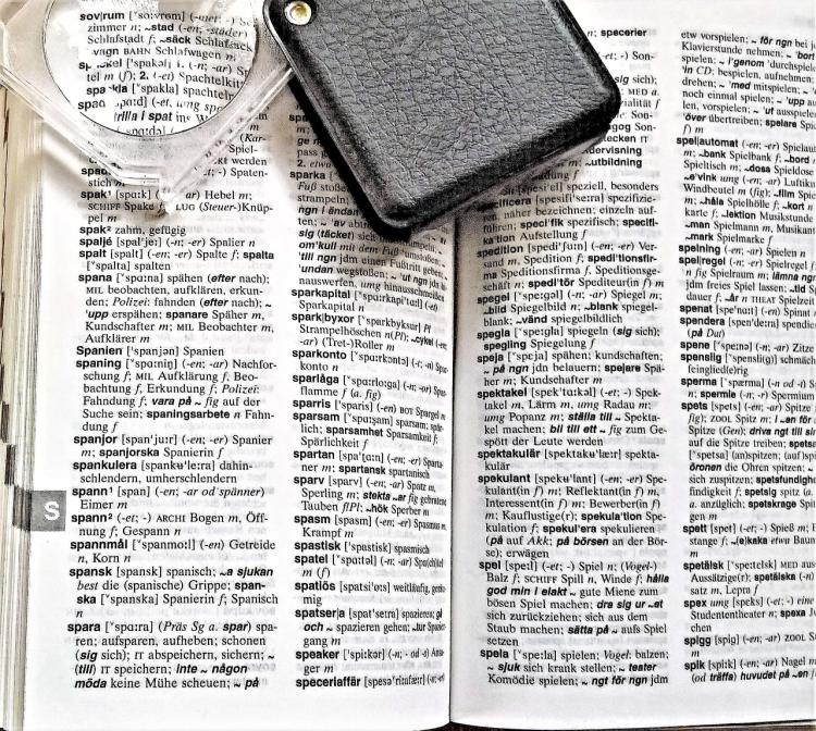 dictionary pages with words in foreign language