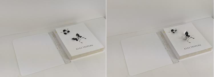 Moving Electriflow butterfly and flower in the pages of a book
