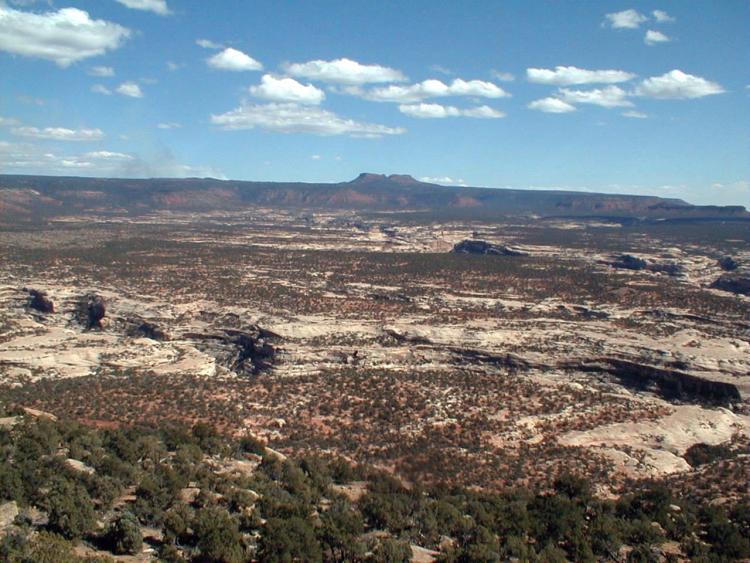 A view of Deer Canyon and Bears Ears in San Juan County, Utah.