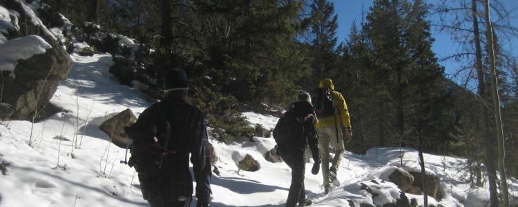 People hiking in the snow