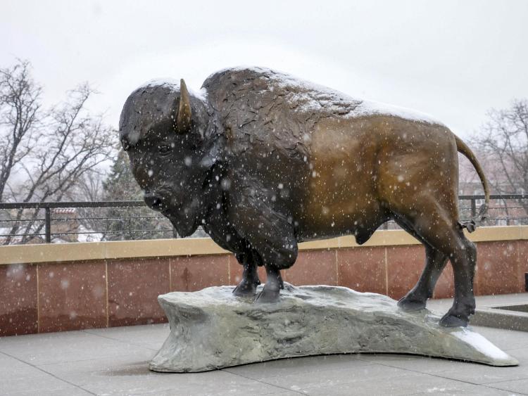 Snow falls on buffalo statue on CASE rooftop
