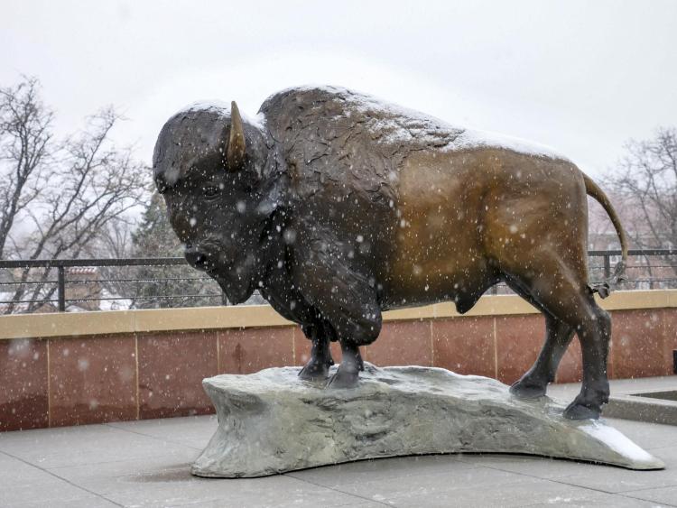 Snow falls on buffalo statue on CASE balcony. Photo by Patrick Campbell.