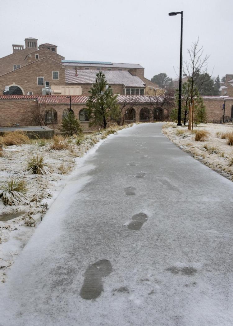 Footsteps on a snow-dusted sidewalk. Photo by Patrick Campbell.