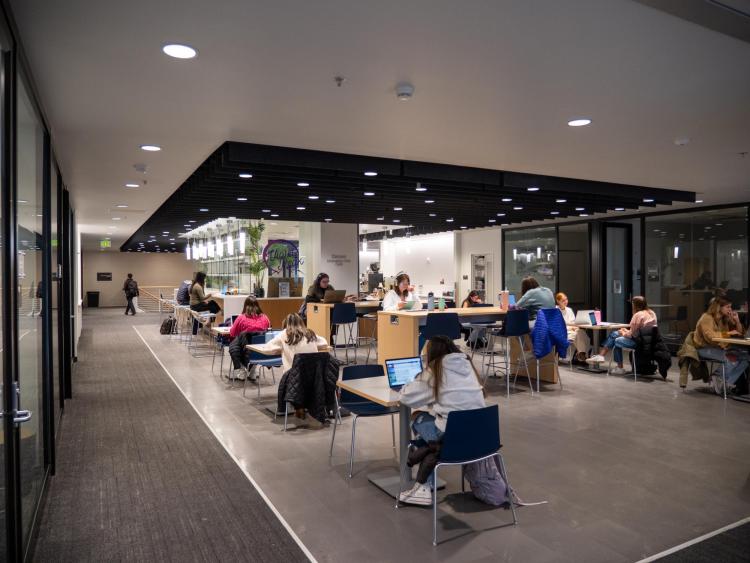 Students studying indoors on campus