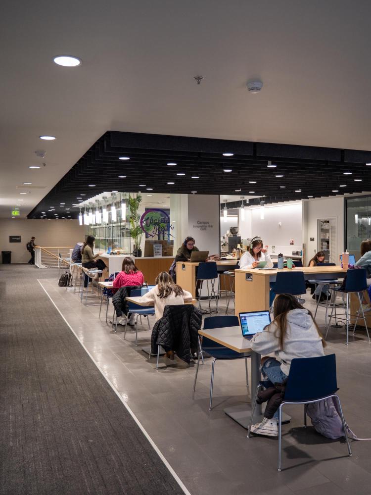 Students studying indoors