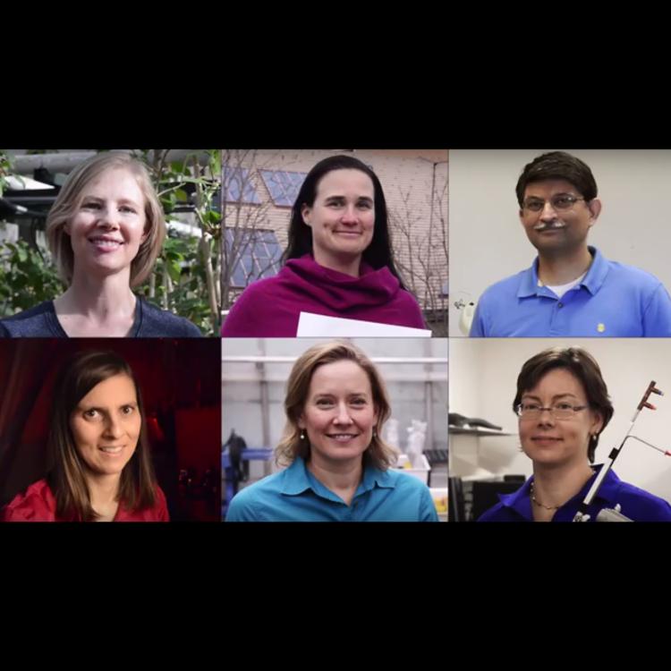 CAREER Awards recipients