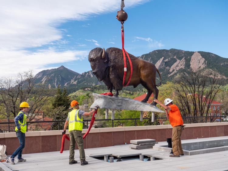 A bronze buffalo sculpture is installed on the deck of the CASE building.
