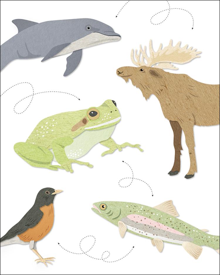Illustration with animals
