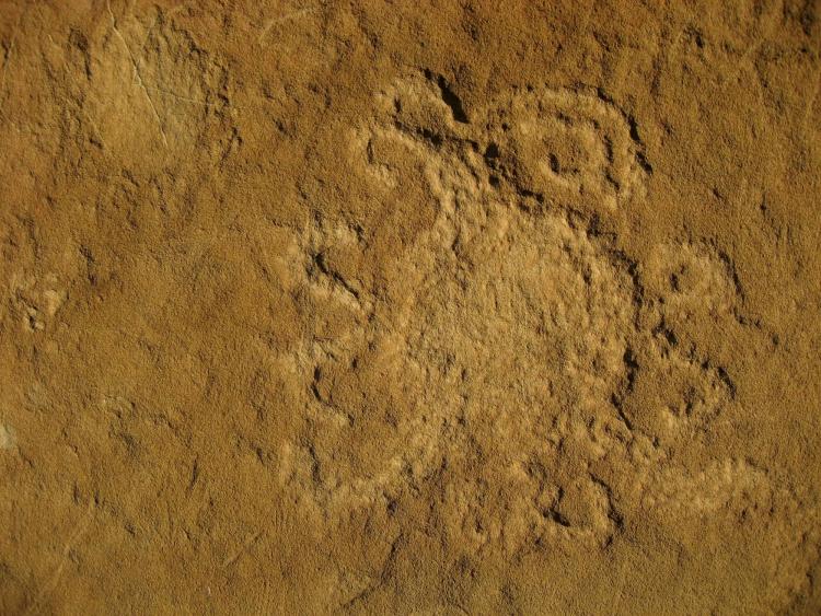 Piedra del Sol petroglyph