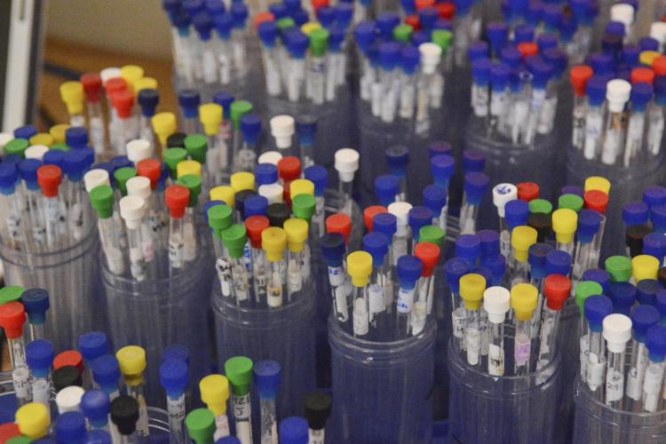 Chemistry lab