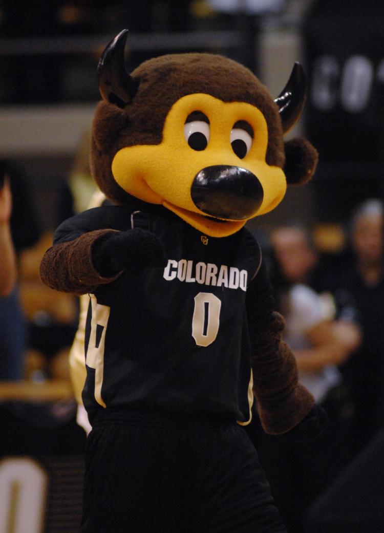Chip the mascot at a basketball game