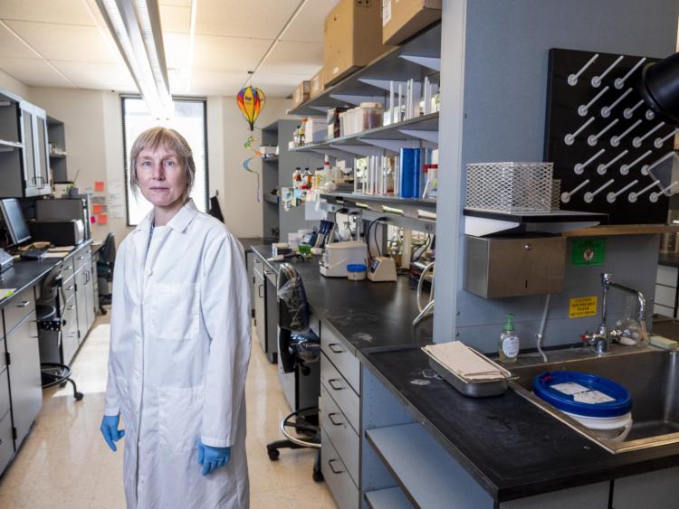 Corrie Detweiler in the lab
