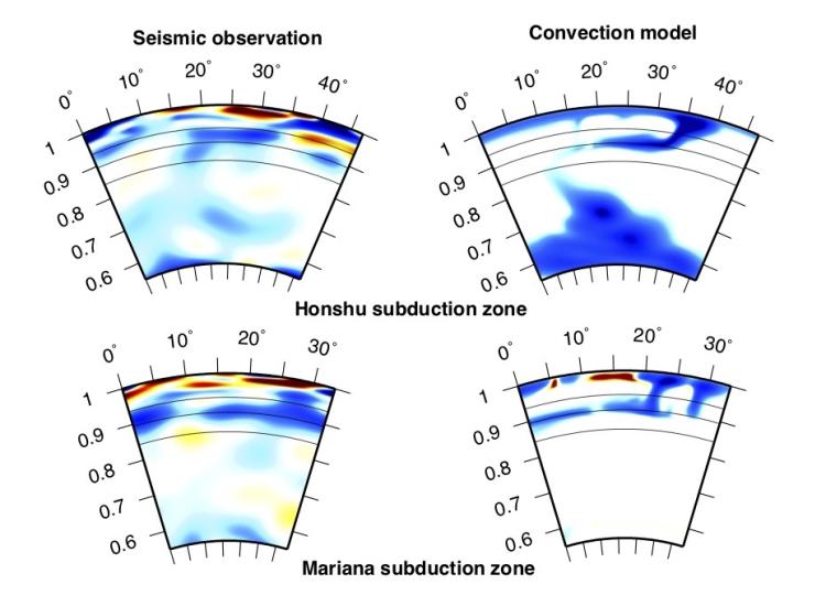 Graphic of stagnant slabs under the Japanese island of Honshu (top) and the Mariana Trench (bottom) using seismic data (left) and computer simulations (right). Stagnant slabs (blue) plunge down to the border between the upper and lower mantle then screech to a stop.