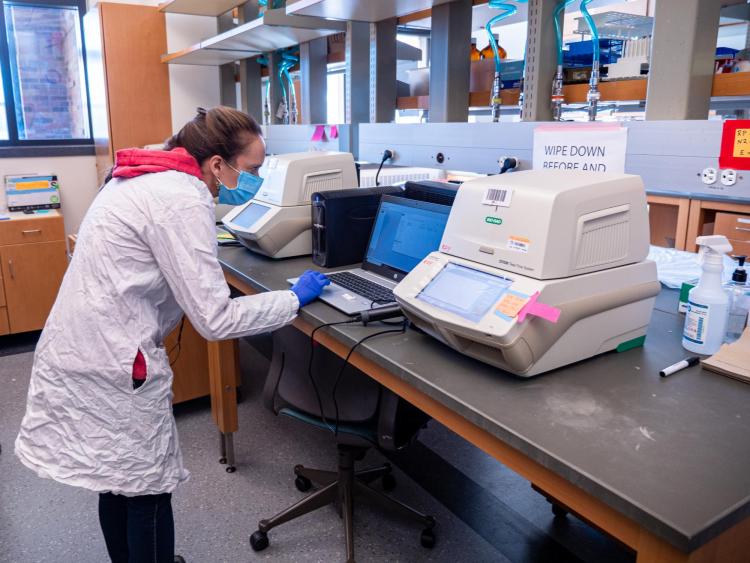 Researcher looks at readouts from a computer in a lab