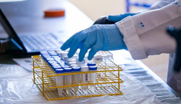 Laboratory worker wearing gloves handles saliva samples in tubes.
