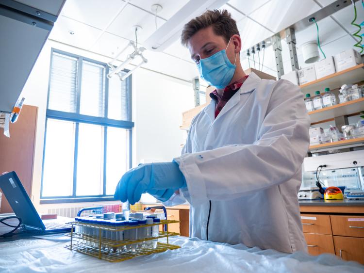 Researcher reaches from sample tubes filled with liquid