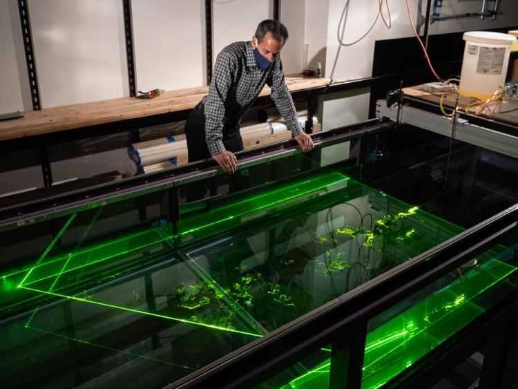 John Crimaldi in his lab