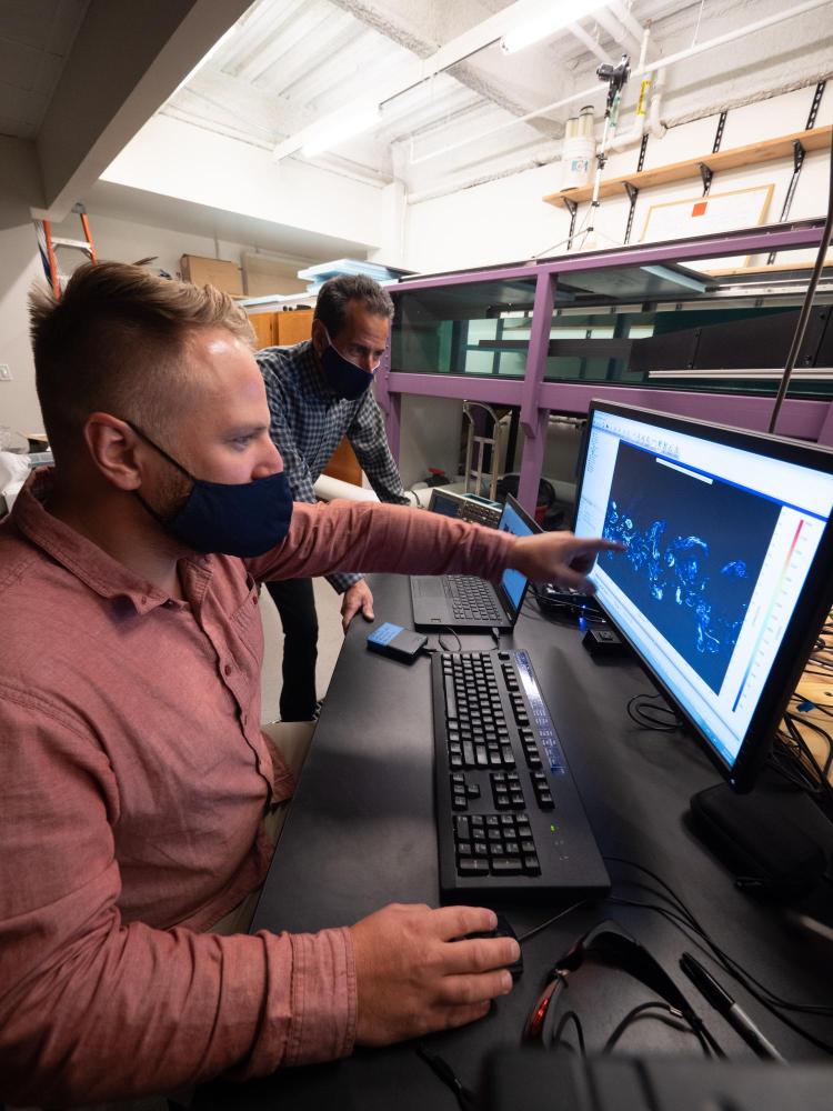 Working in the lab