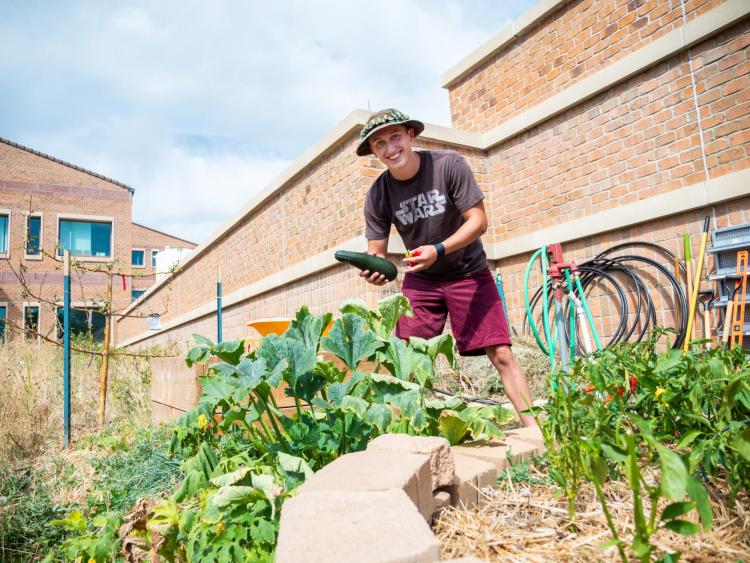 Person gardening on campus