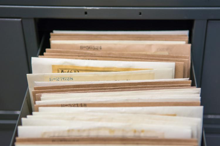 A file drawer at the herbarium