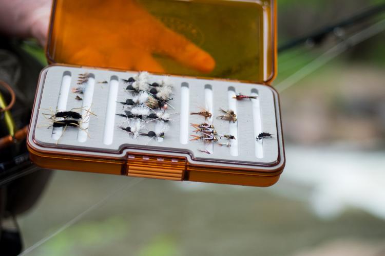 A box of flies