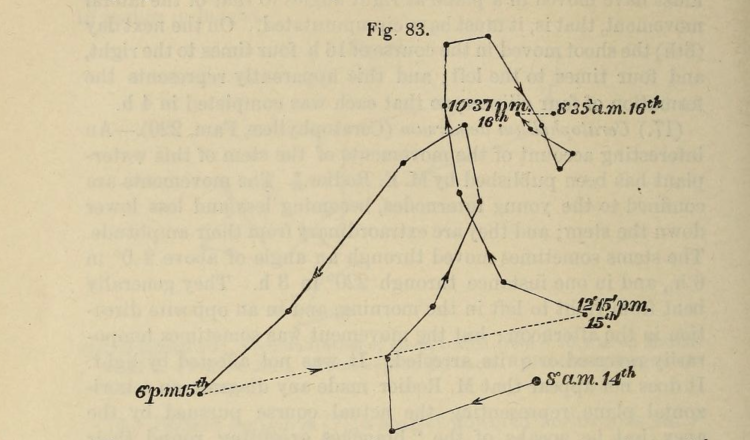 Black line on yellowed paper traces a winding path with dates and times written at certain points, beginning on the 14th and ending on the 16th