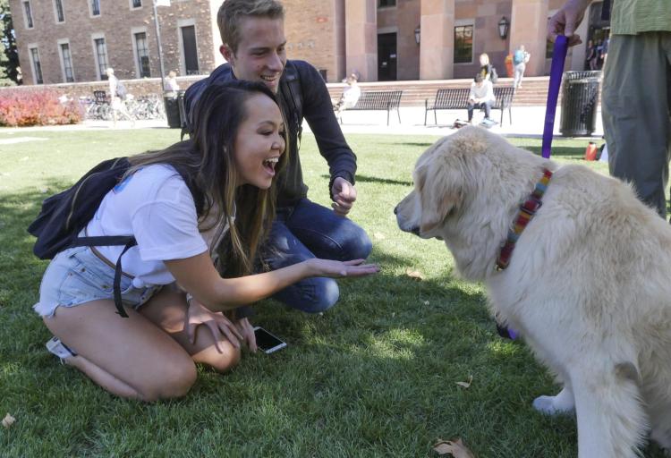 Students play with a therapy dog