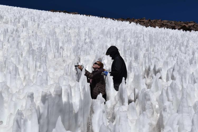 Researchers in the field