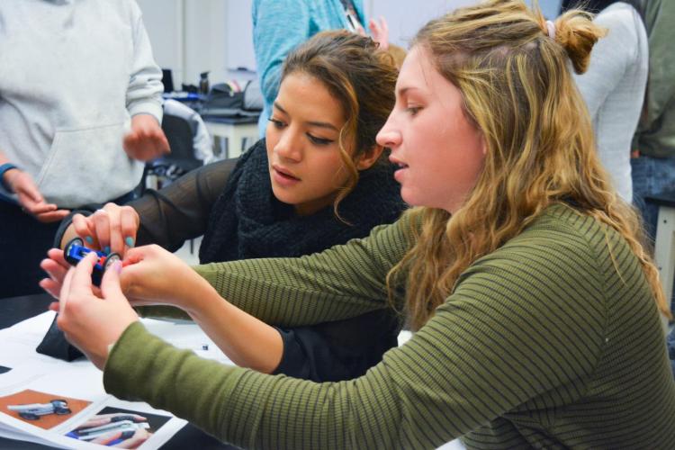 School of Education students working on a project