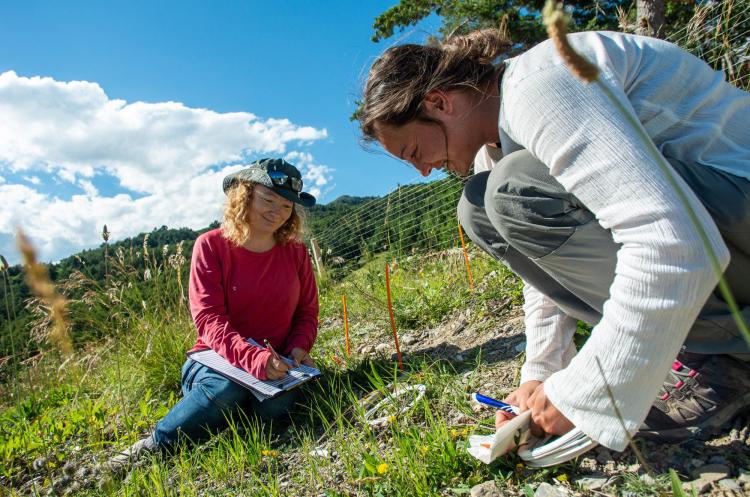 Elise Buisson records data on grassland plants in France with a colleague.