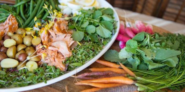 Healthy food plate