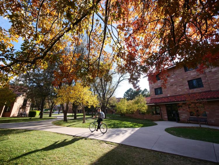 Person riding a bike on campus