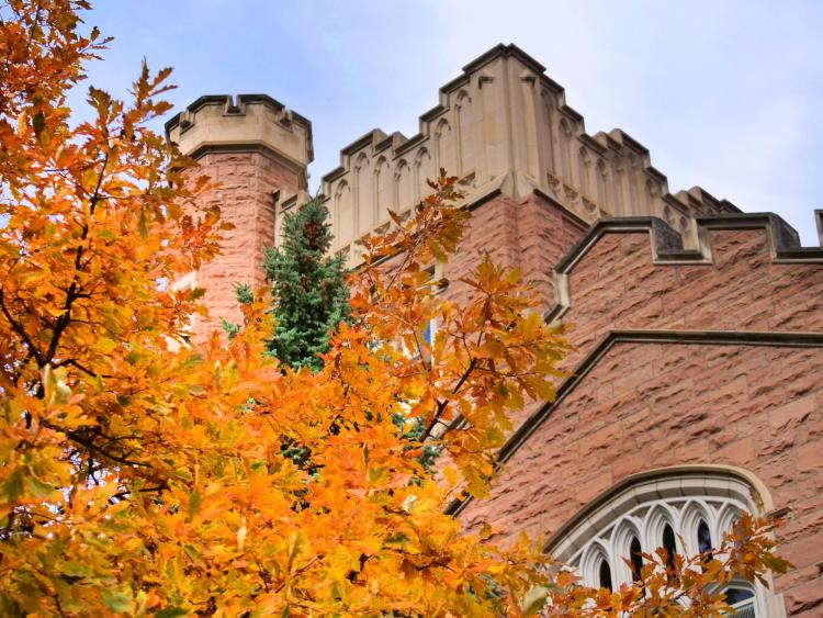 Autumn trees on display at CU Boulder