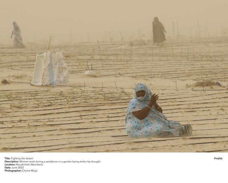 Women work during a sandstorm in a garden being stolen by drought.