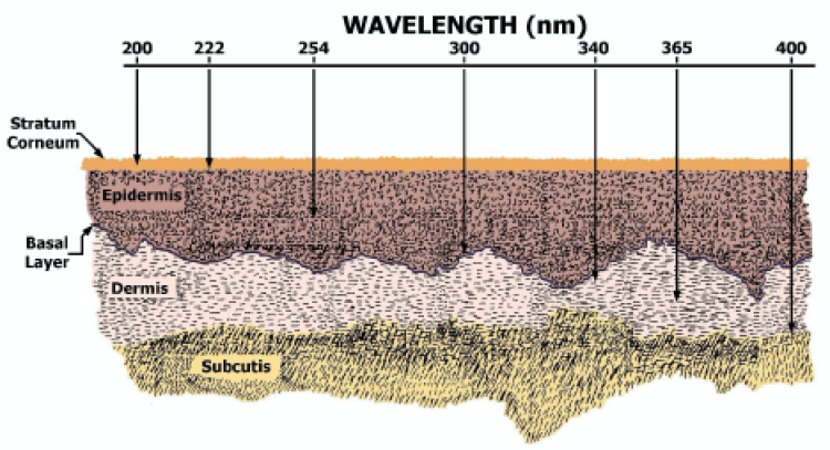 Figure of UV light penetration