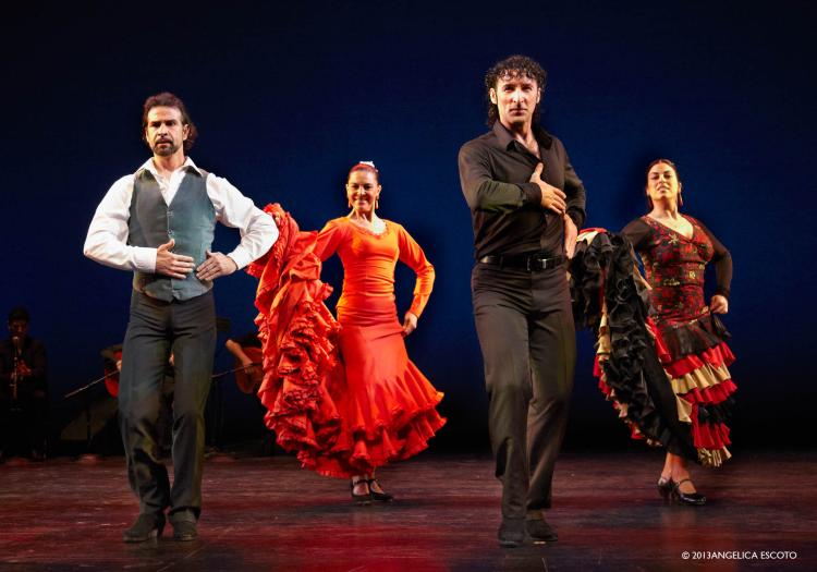 Flamenco Vivo Carlota Santana performs traditional dance on stage