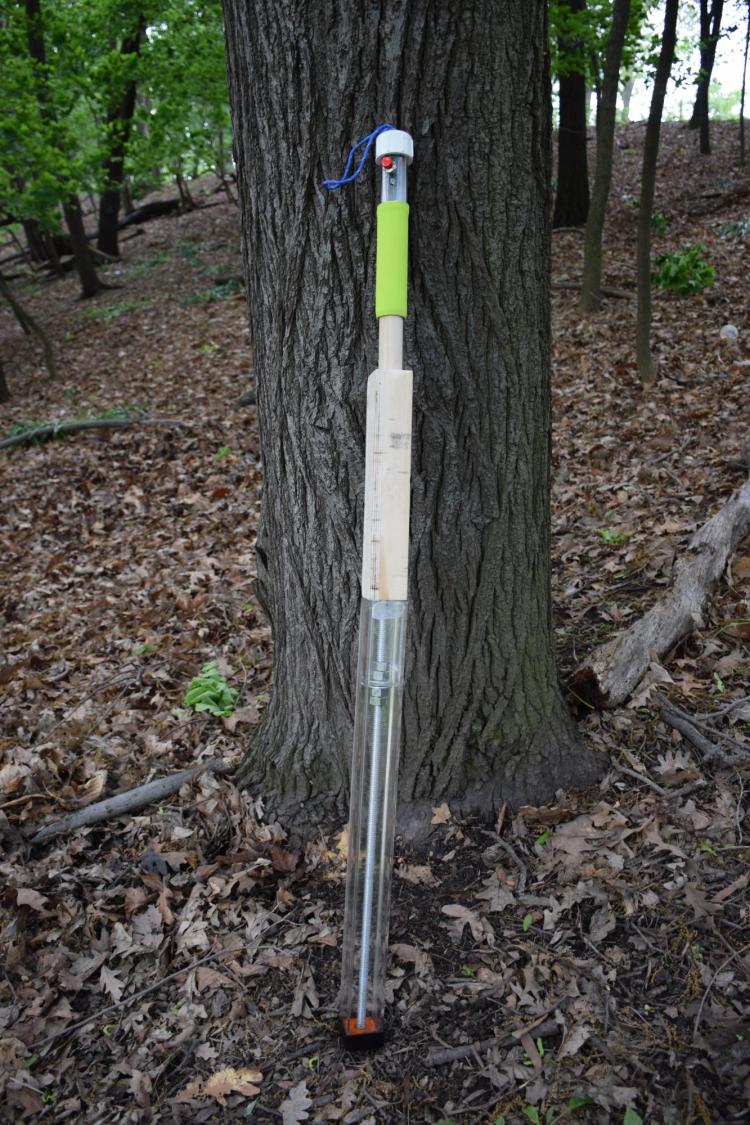 Walking stick