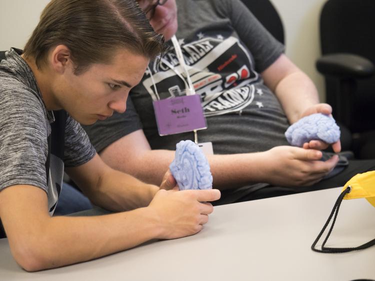 A high school student holds a plastic brain
