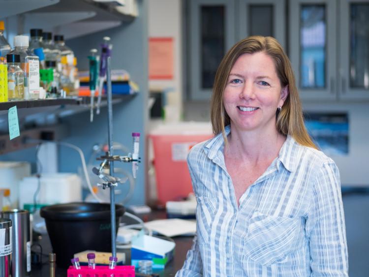 Gia Voelzt in lab